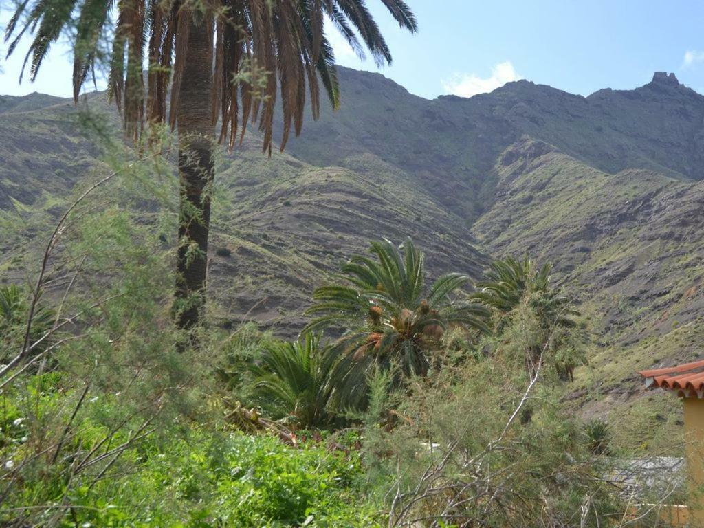 Casa Los Palmeros Perdomo Alojera Dış mekan fotoğraf
